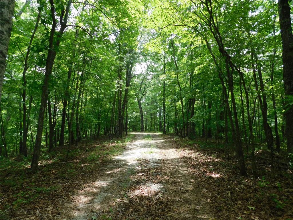 Crest View Drive, Dahlonega, Georgia image 1