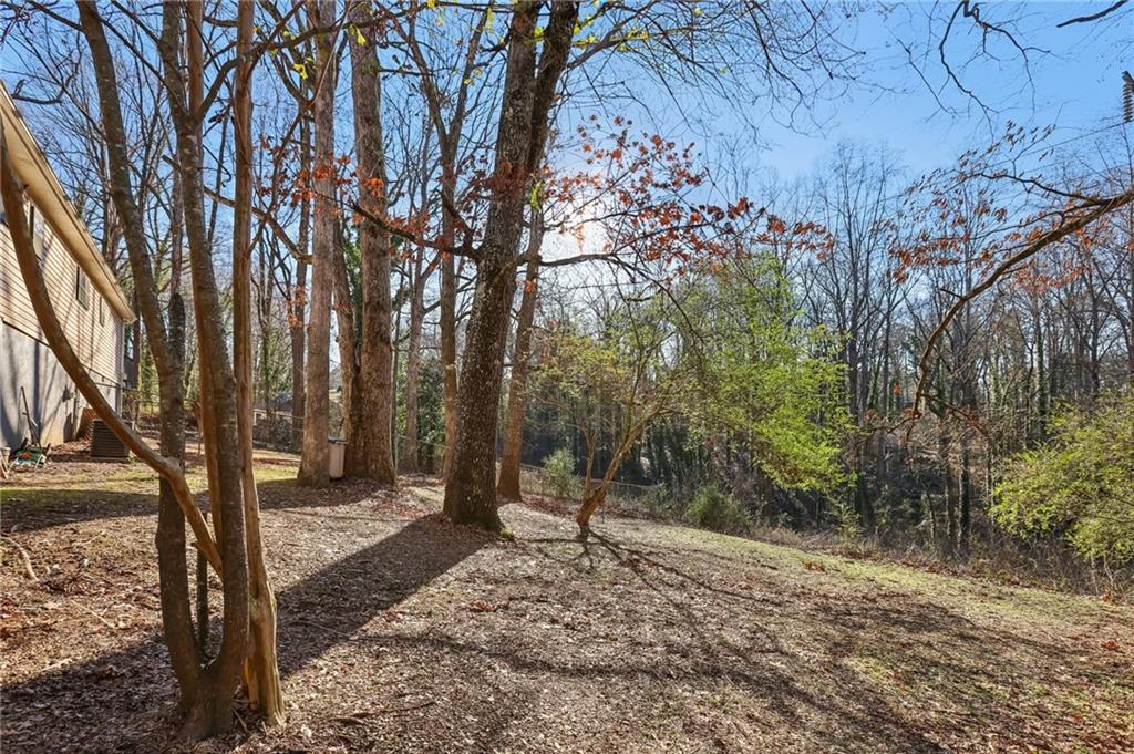409 Katherine Lane, Woodstock, Georgia image 43