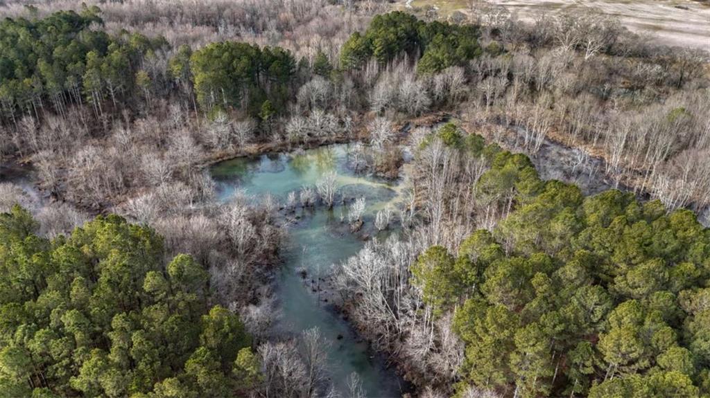 557 Acres on Taliaferro Springs Road