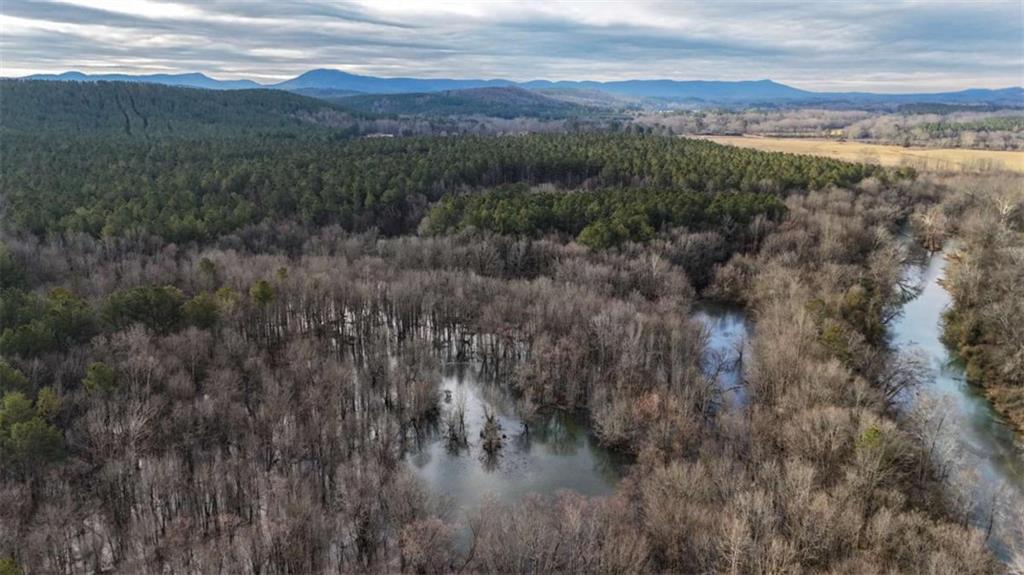 557 Acres on Taliaferro Springs Road