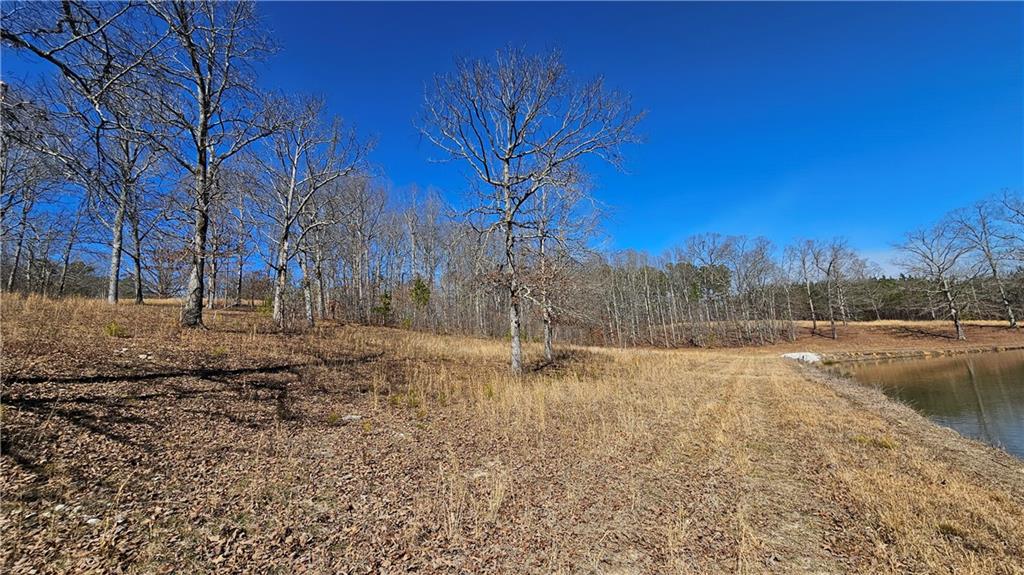 Lot 3 Snote Jones Road, Dallas, Georgia image 12