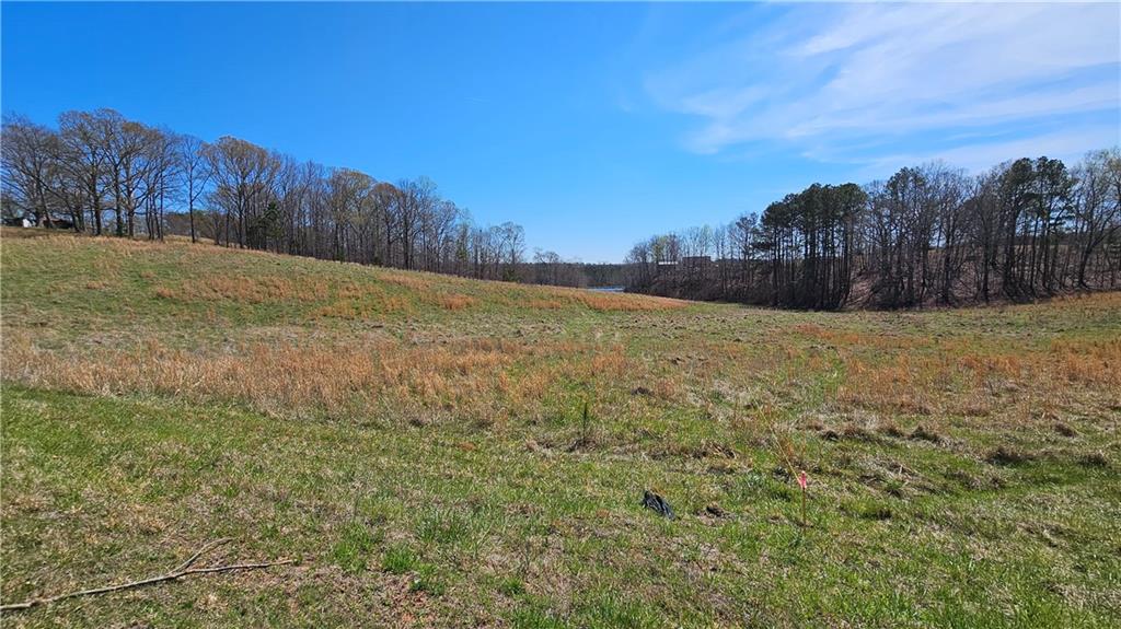 Lot 3 Snote Jones Road, Dallas, Georgia image 7