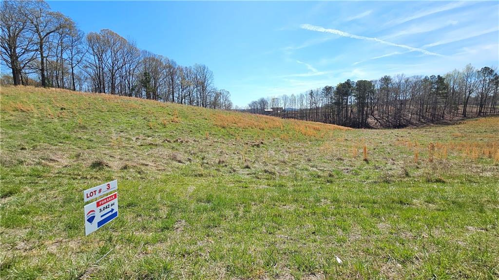 Lot 3 Snote Jones Road, Dallas, Georgia image 6