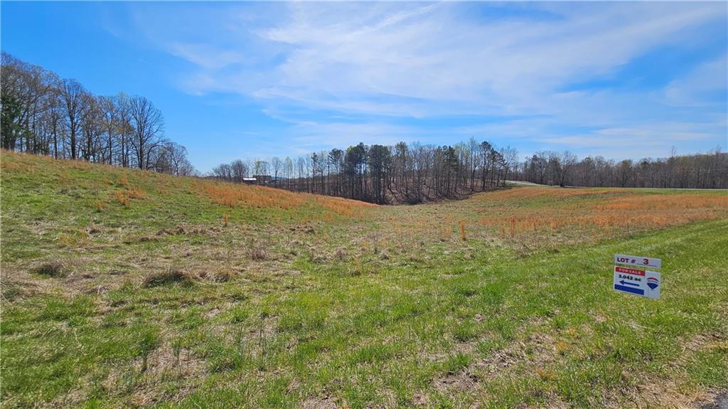 Lot 3 Snote Jones Road, Dallas, Georgia image 3