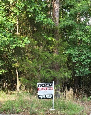 2399 PHILADELPHIA RD NE, CONYERS, GA 30012 - Image f6e0e1d049d97cade36638dce6c890a3/595450329