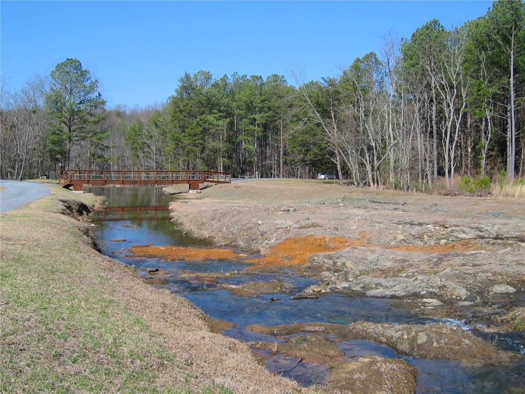 4528 Sassafras Mountain Trail, Jasper, Georgia image 22