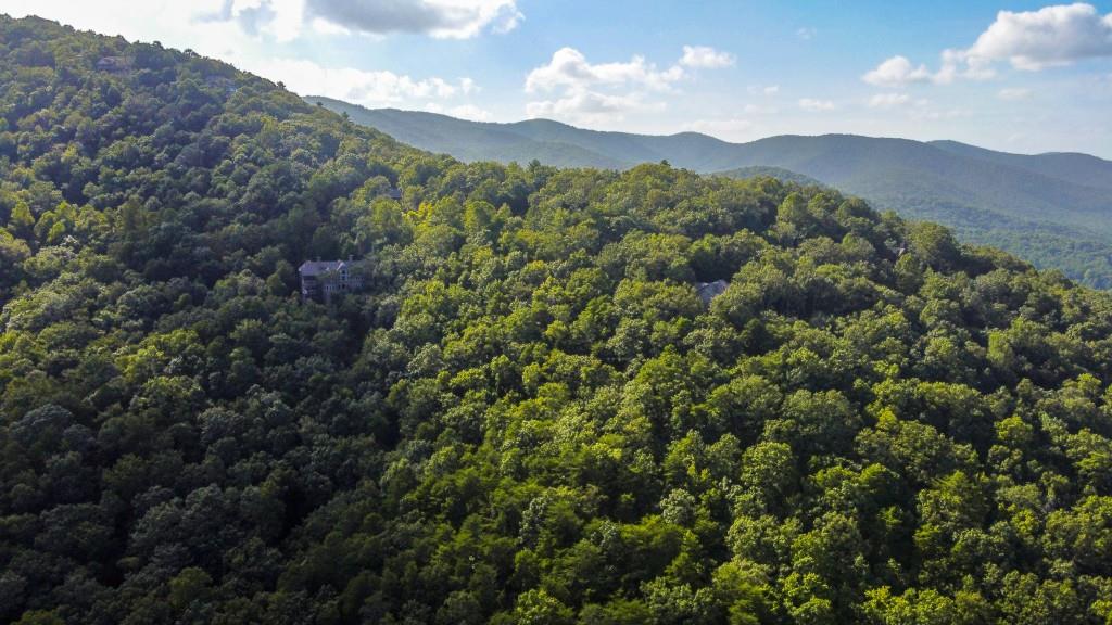 280 Royal Fern Trail, Big Canoe, Georgia image 24