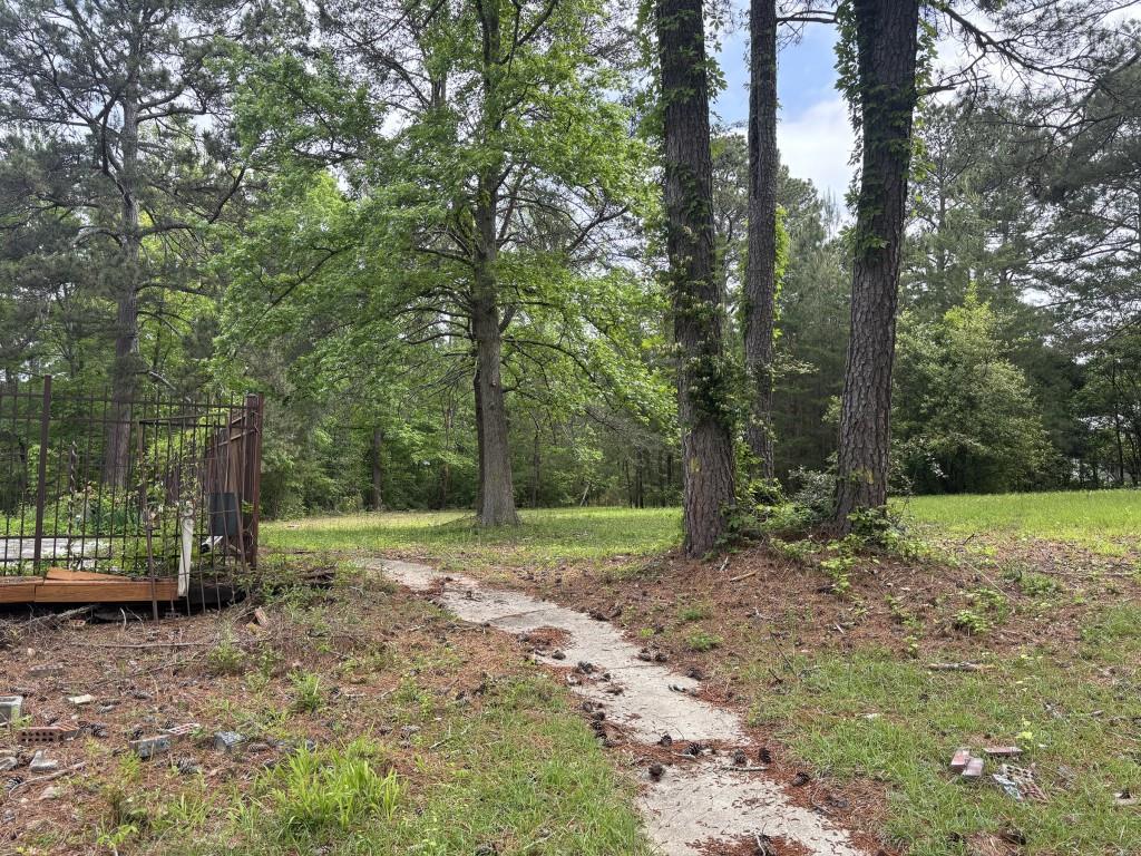2256 Mack Road, Douglasville, Georgia image 26