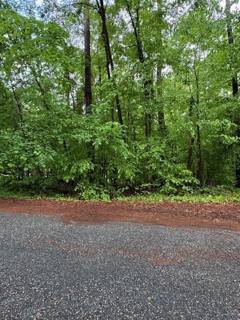 Lot 68 Pelican Circle, Monticello, Georgia image 2