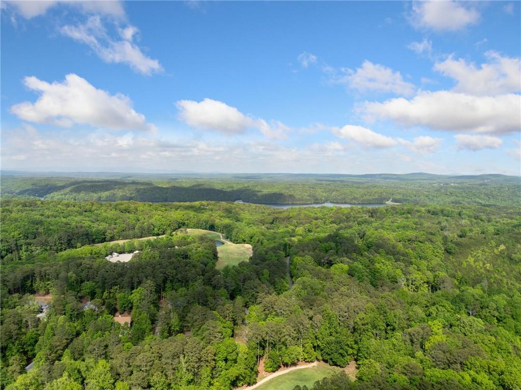 126 Seneca Court, Waleska, Georgia image 8