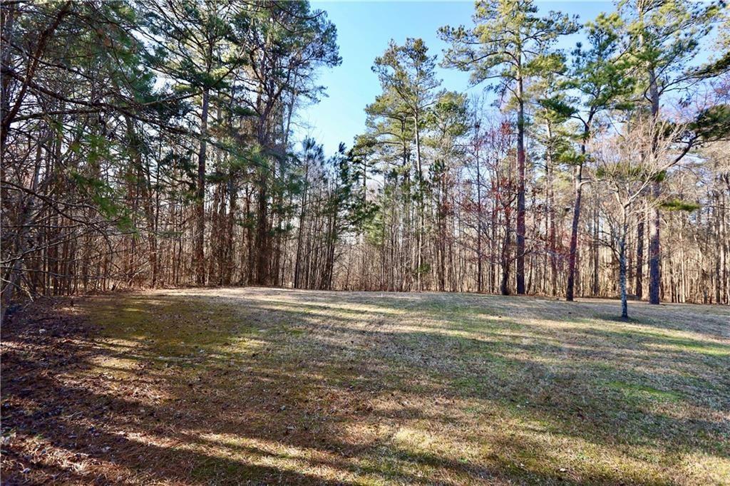 460 Chandler Bluff Court