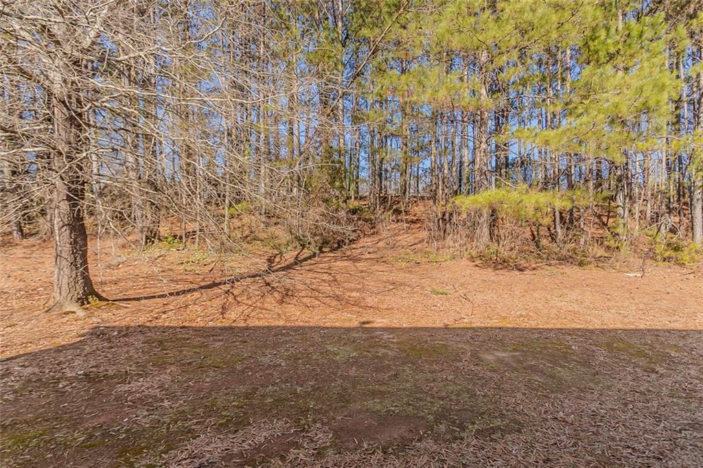 3420 Lineview Drive, Ellenwood, Georgia image 30