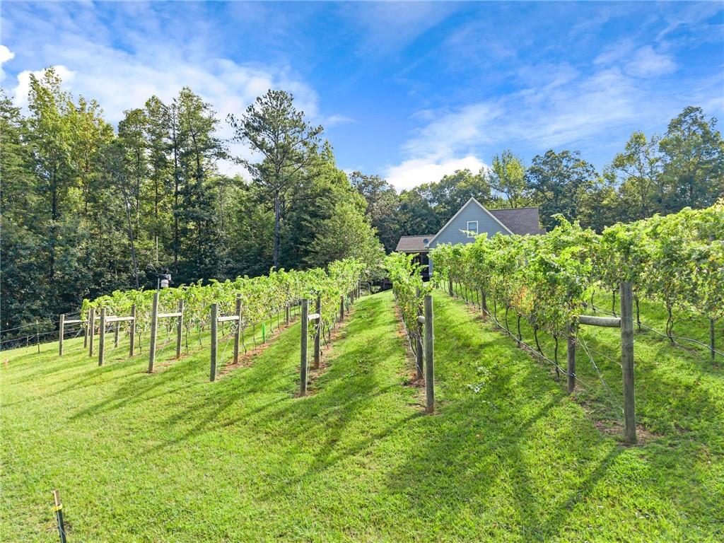 253 Happy Trails Way