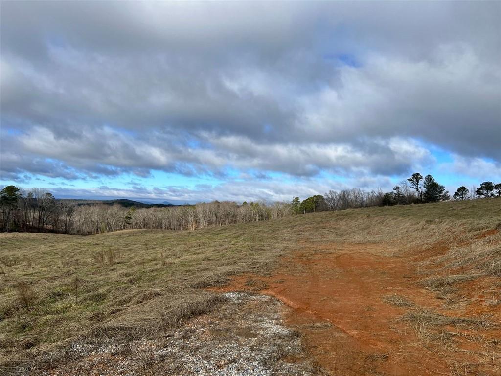 Four Mile Church Road, Ball Ground, Georgia image 8