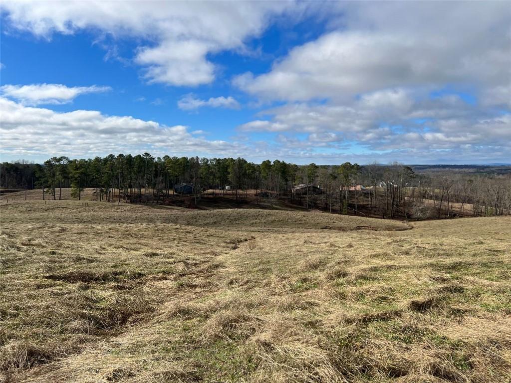 Four Mile Church Road, Ball Ground, Georgia image 12