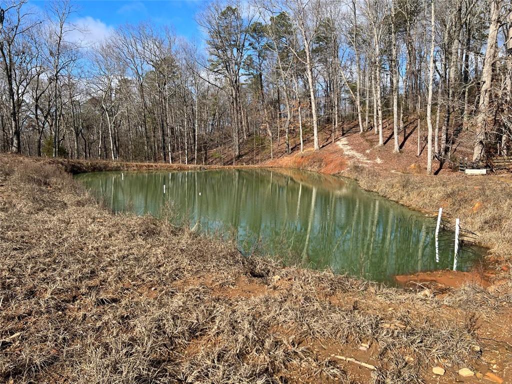 Four Mile Church Road, Ball Ground, Georgia image 15