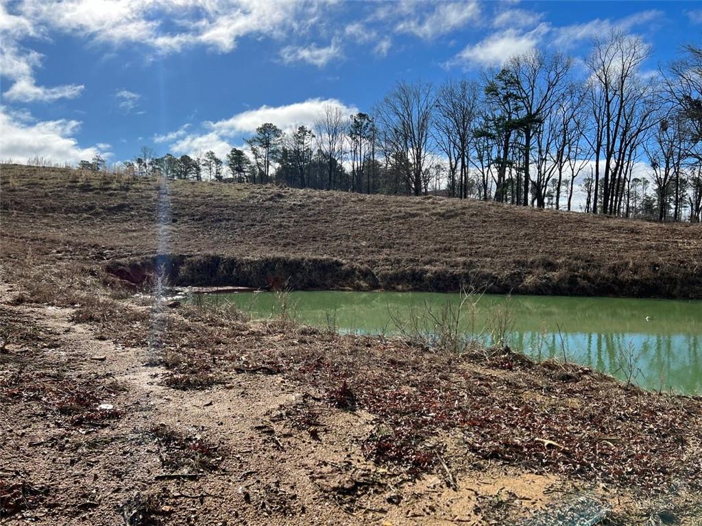 Four Mile Church Road, Ball Ground, Georgia image 14