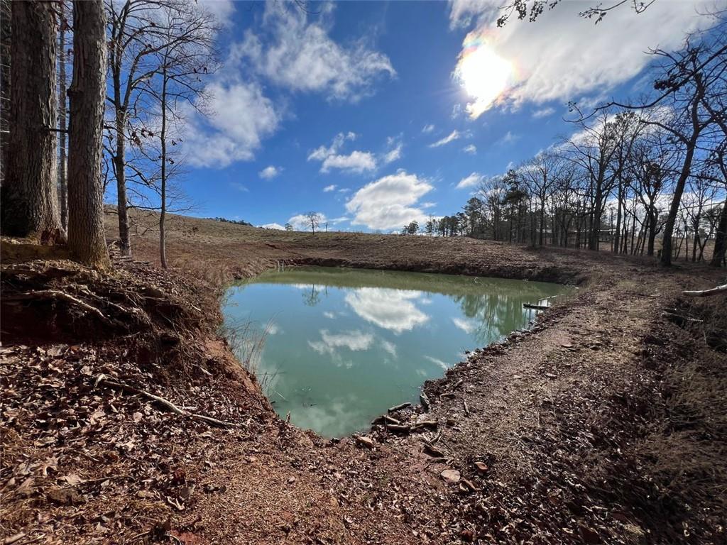 Four Mile Church Road, Ball Ground, Georgia image 3