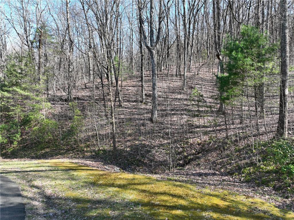 4.3 Acre Lot in luxury gated mountain community! Seasonal close mountain views. This upsloping lot is 4.3 acres! Big lot with a couple of potential building spots. Nice access point from far left and far right of this lot. The middle of the lot rises perfectly to immediately give you privacy. If you build high enough on the backside of this lot to rise, you might be able to capture a long range view too! Adjacent lot are available for sale too! Check out the topo map! You'll love the serenity of Georgian Highlands and the connection to nature and wildlife valued by this community. Okay to buy now and build later. Electric, phone, cable, and high speed internet at road. Close to orchards, wineries, and hiking. Approx 20-25 minutes to Jasper or Ellijay. Gated, HOA, 2000 min, no rentals, all buyers must be with an agent per HOA. Terrain parcel line photos are an approximation only.