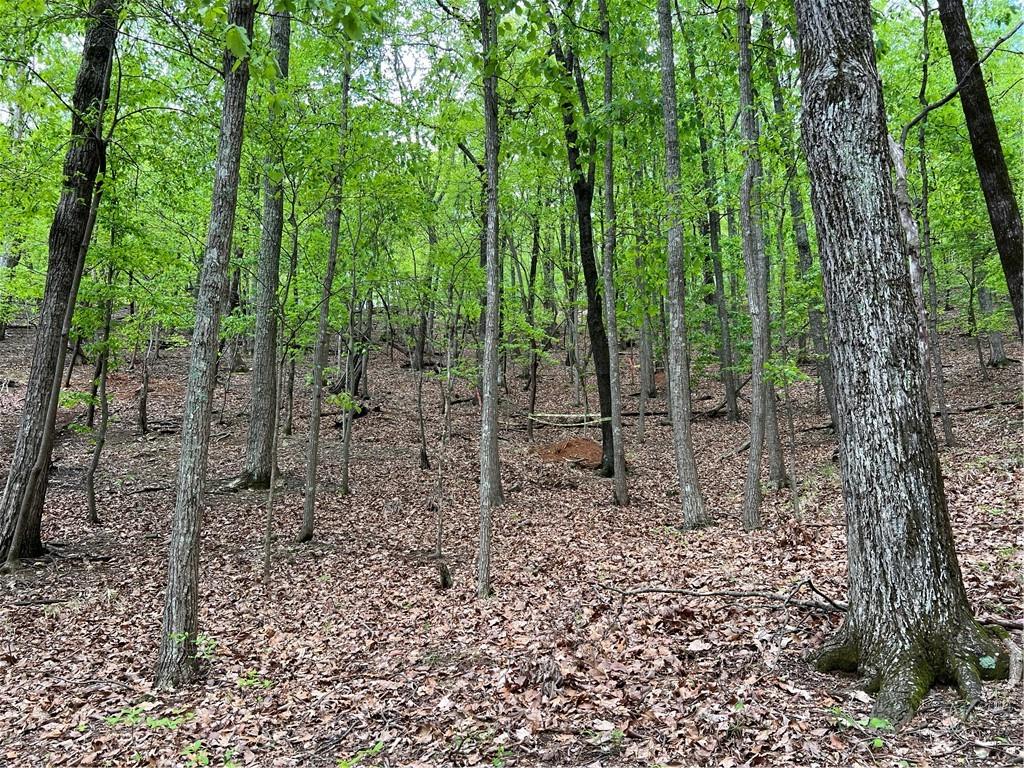 387 Windflower Drive, Big Canoe, Georgia image 6