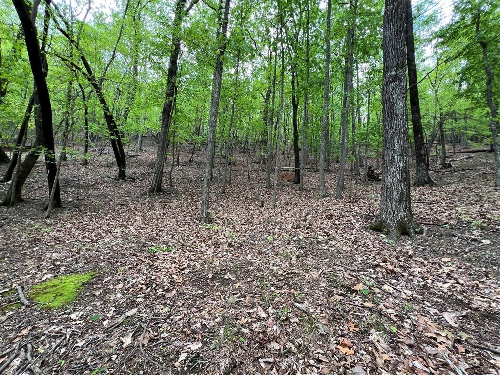 387 Windflower Drive, Big Canoe, Georgia image 10