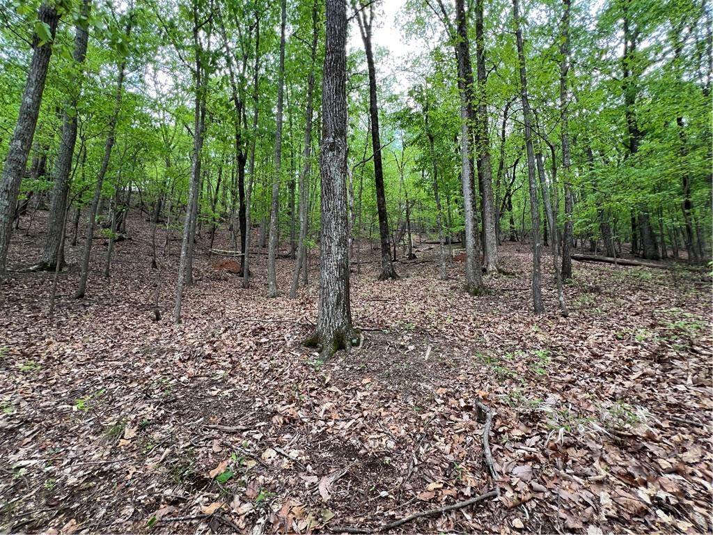 387 Windflower Drive, Big Canoe, Georgia image 11