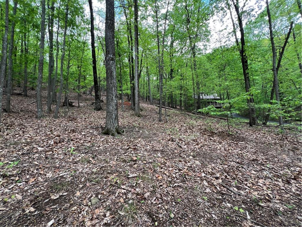 387 Windflower Drive, Big Canoe, Georgia image 9