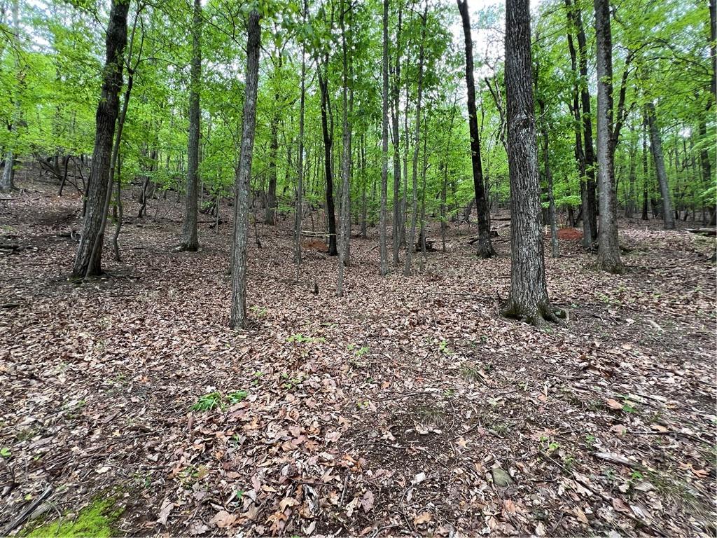 387 Windflower Drive, Big Canoe, Georgia image 7