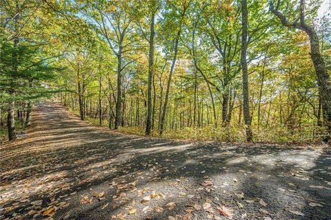 Vacant Land For Sale - LOT 19 Oceola Drive<br/> Ellijay, GA 30540