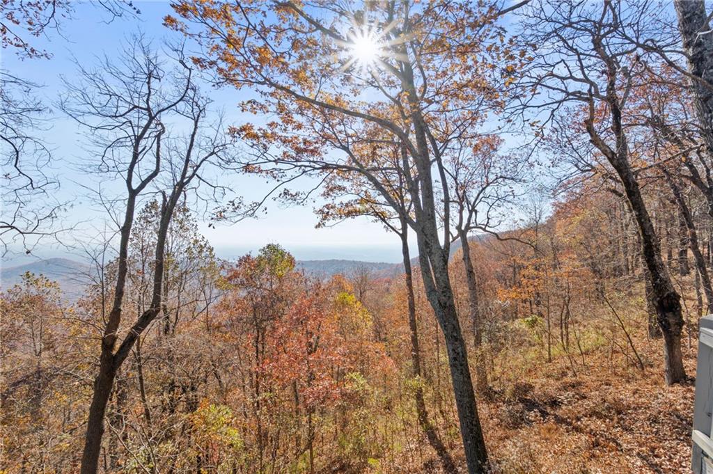 1364 Deer Run Ridge, Big Canoe, Georgia image 30