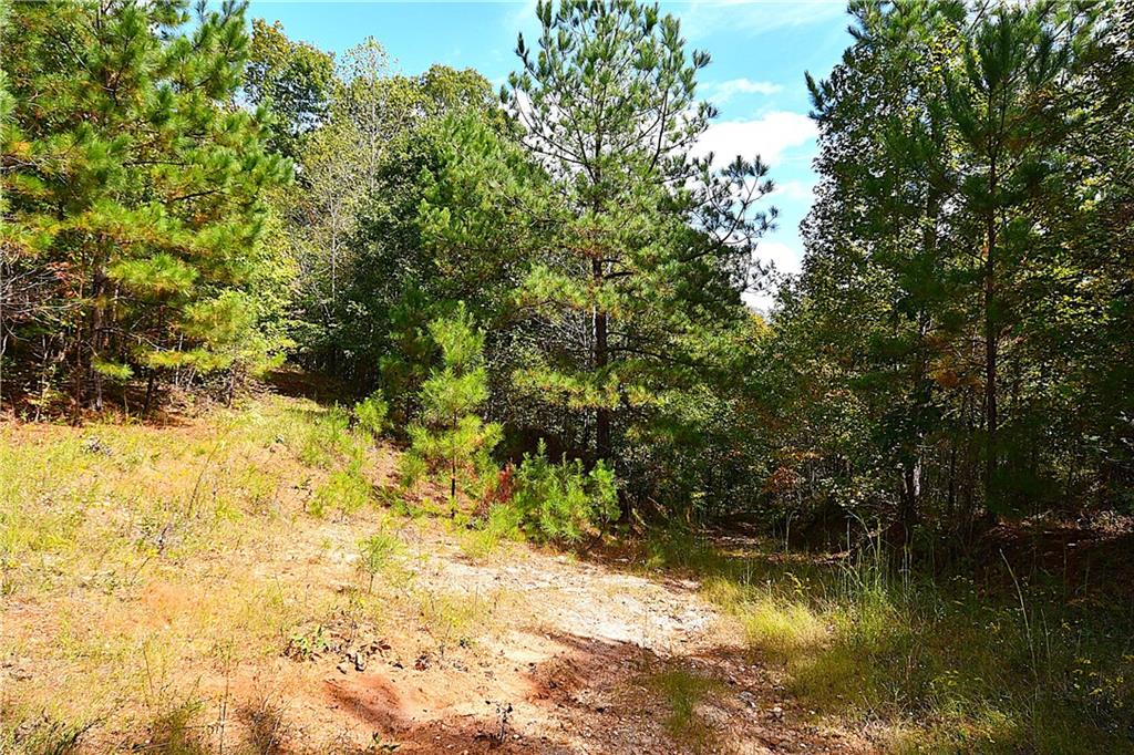 00001 Poplar Springs Road, Buchanan, Georgia image 14