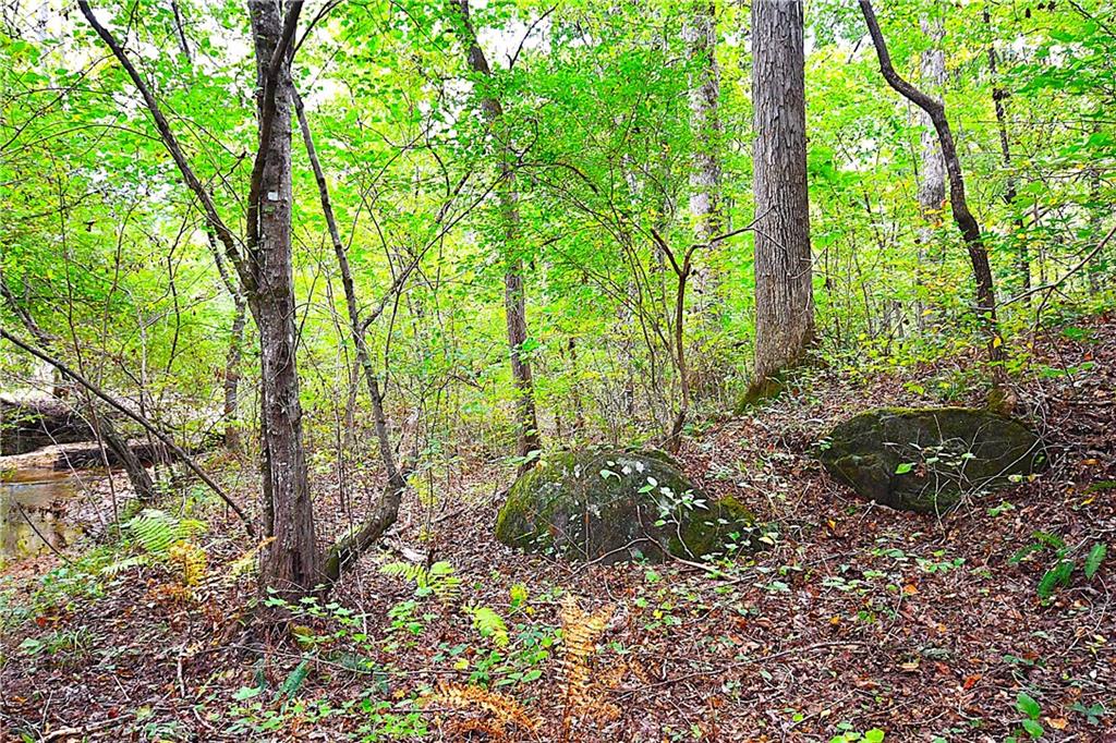 00001 Poplar Springs Road, Buchanan, Georgia image 22