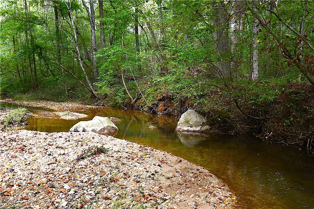 00001 Poplar Springs Road, Buchanan, Georgia image 13