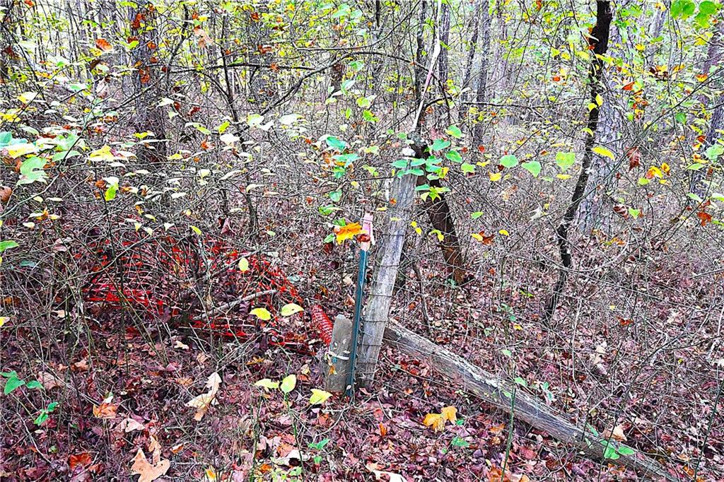 00001 Poplar Springs Road, Buchanan, Georgia image 17