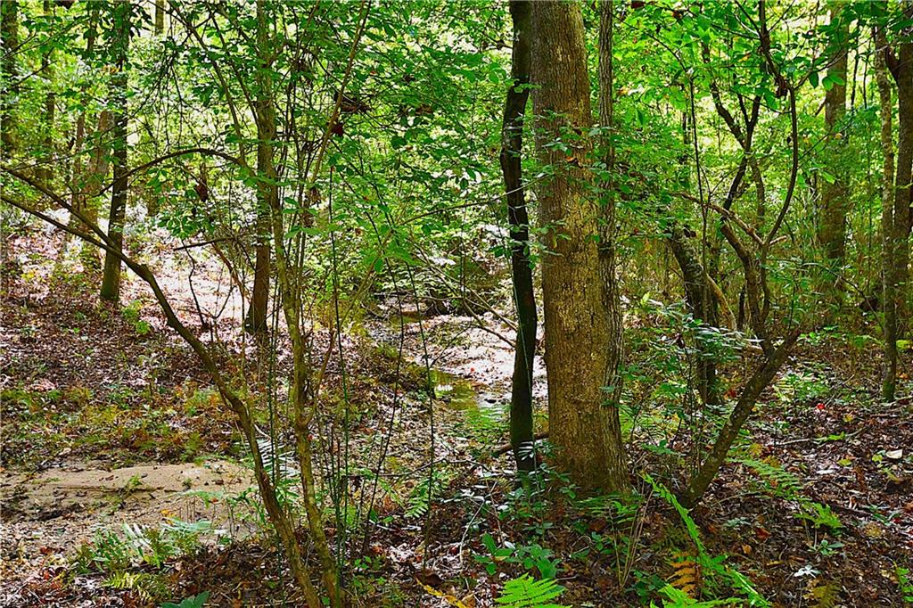 00001 Poplar Springs Road, Buchanan, Georgia image 24