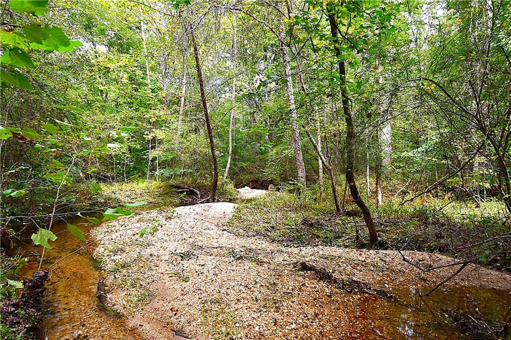 00001 Poplar Springs Road, Buchanan, Georgia image 32