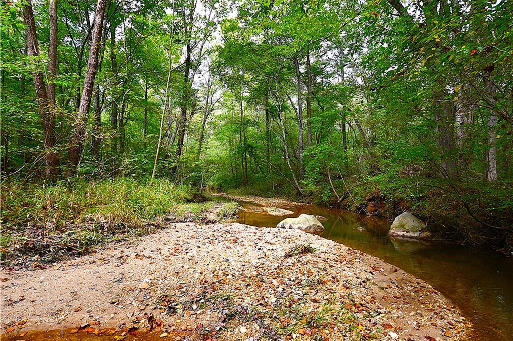 00001 Poplar Springs Road, Buchanan, Georgia image 33