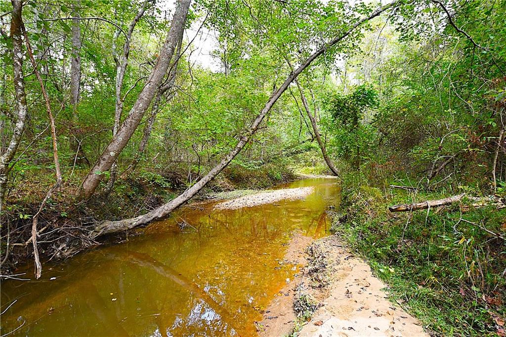 00001 Poplar Springs Road, Buchanan, Georgia image 30