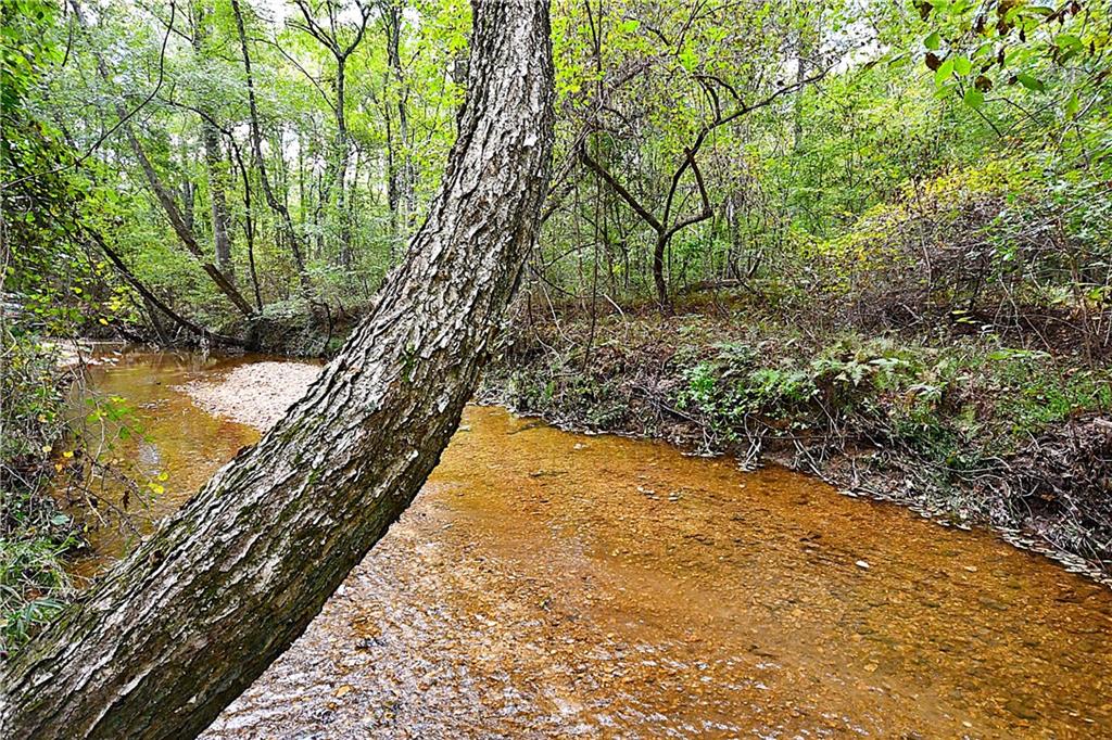 00001 Poplar Springs Road, Buchanan, Georgia image 12