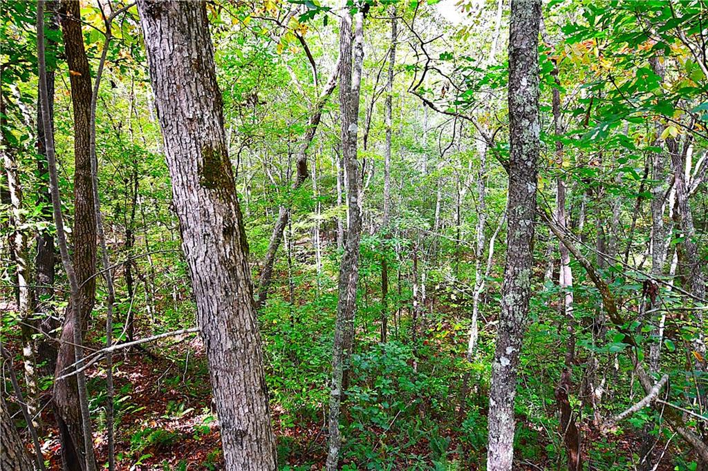 00001 Poplar Springs Road, Buchanan, Georgia image 20