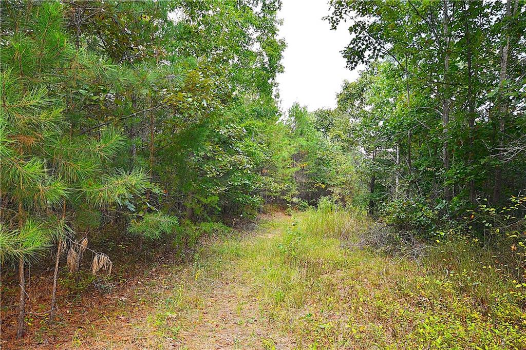 00001 Poplar Springs Road, Buchanan, Georgia image 28