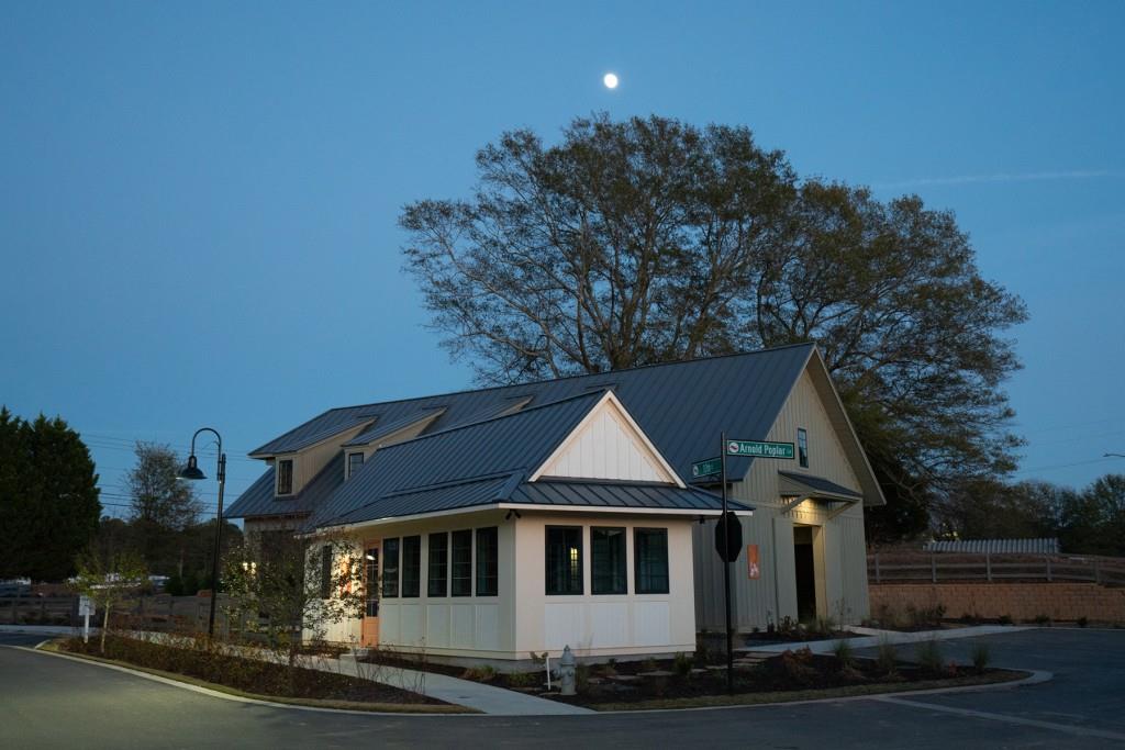 54 Black Gum Lane #48, Auburn, Georgia image 29
