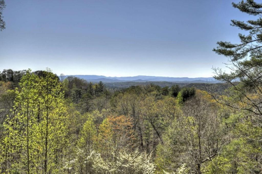 143 Katydid Road, Morganton, Georgia image 32