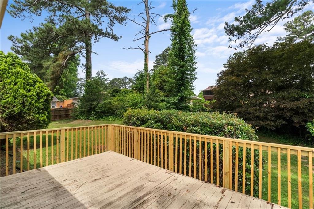 3802 Birchbriar Court, Decatur, Georgia image 23