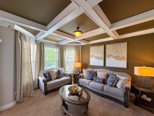 842 Treeline Drive, Conyers, Georgia image 37