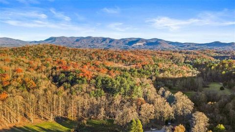 A home in Ellijay