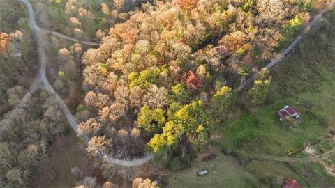 A home in Ellijay