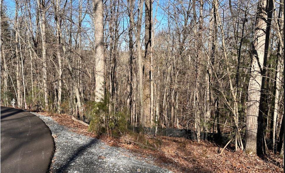 Shadowick Mountain Road, Jasper, Georgia image 4