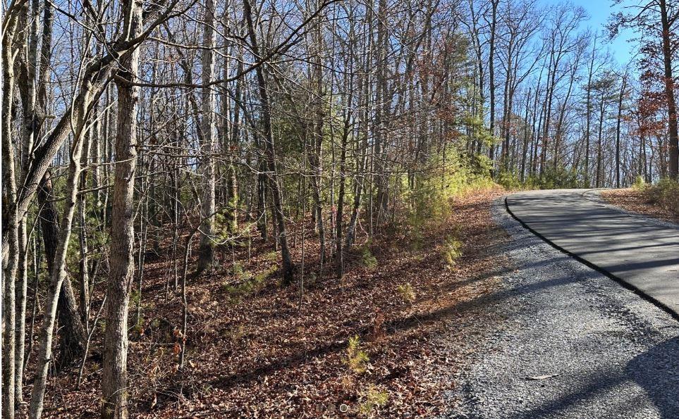 Shadowick Mountain Road, Jasper, Georgia image 3