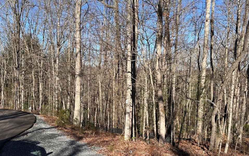 Shadowick Mountain Road, Jasper, Georgia image 2